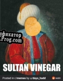 Русификатор для 7. The Sultans Salty Prison G