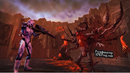 Русификатор для Anarchy Online