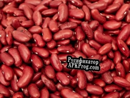 Русификатор для Bean Simulator (OheeXD)