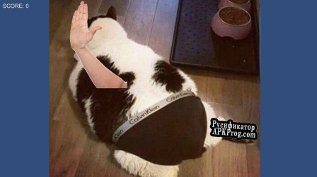 Русификатор для CatSlapp