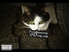 Русификатор для CatSlots