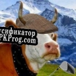 Русификатор для Coo Goolf