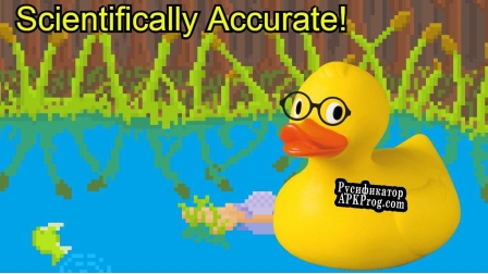 Русификатор для Duck Simulator 2020