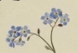 Русификатор для Forget-Me-Not Preview