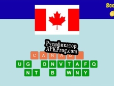 Русификатор для Guess Flag