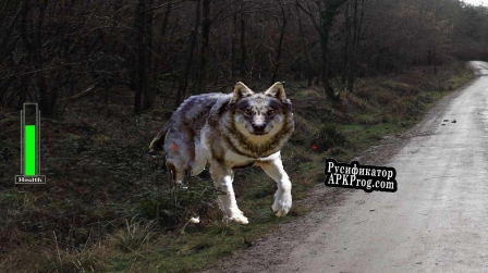 Русификатор для If you go down in the woods
