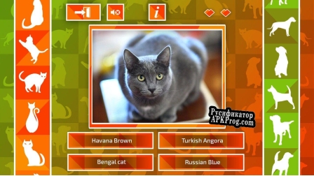 Русификатор для JQ dogs  cats