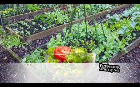 Русификатор для long green bean