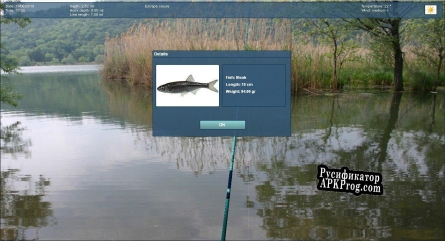 Русификатор для Truefish