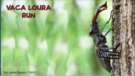 Русификатор для Vaca Loura Run